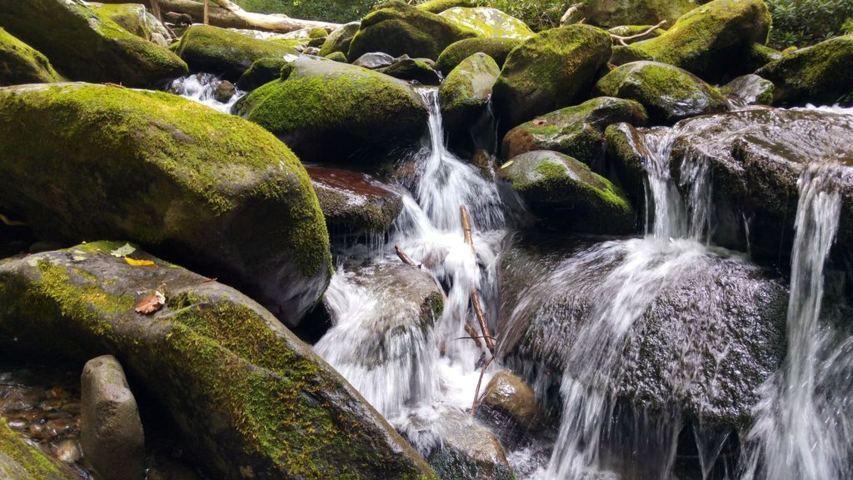 moss covered boulders small water fall flowing