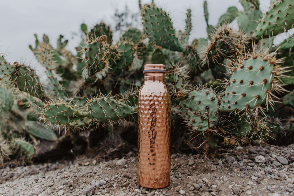 Copper water bottle in a desert with a cactus behind