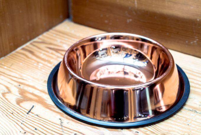 smooth shiny copper pet bowl black rubber rim