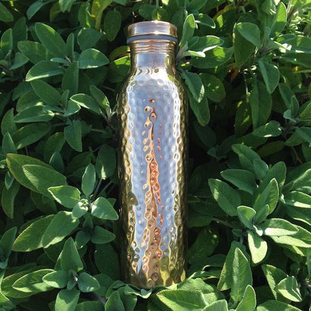 Flat lay of copper water bottle on top of green plants