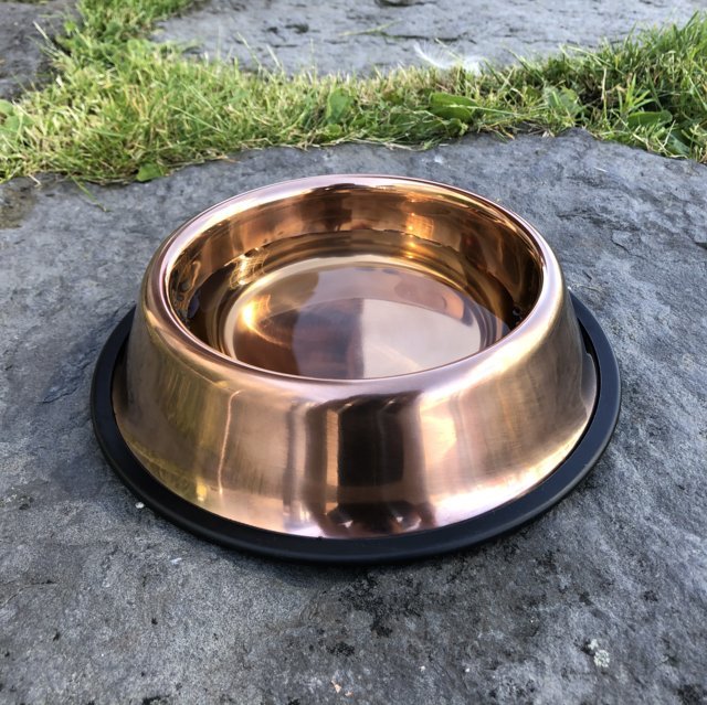 Copper pet bowl