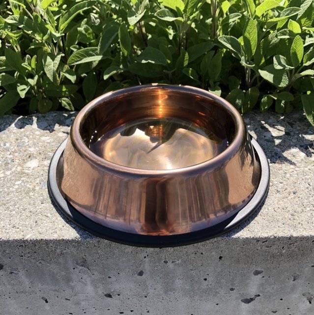 Copper pet bowl