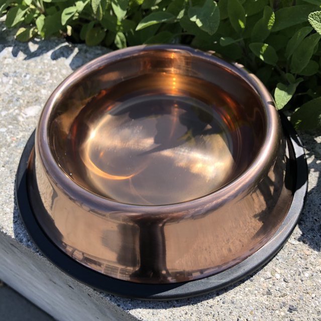 Copper Plated Water Pet Bowl 32 oz. by CooperPet Copper